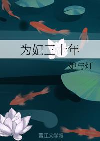 为妃三十年讲了什么